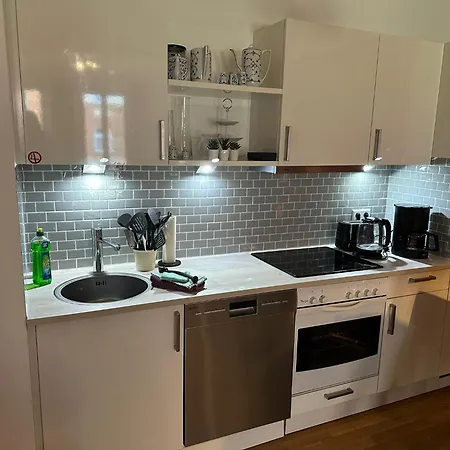 公寓 Trendige Stadtwohnung, Historisches Haus Mit Terrasse Und Garten 马格德堡